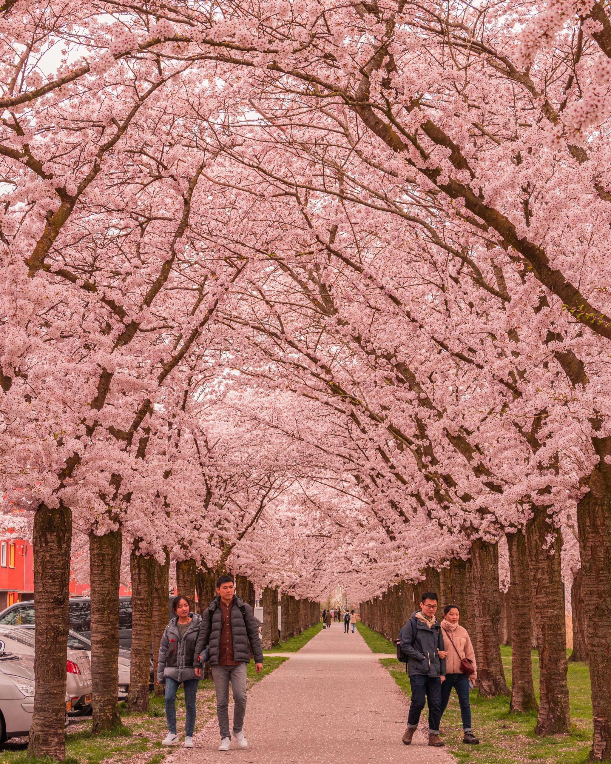 Hidden Gems Most Visitors Miss