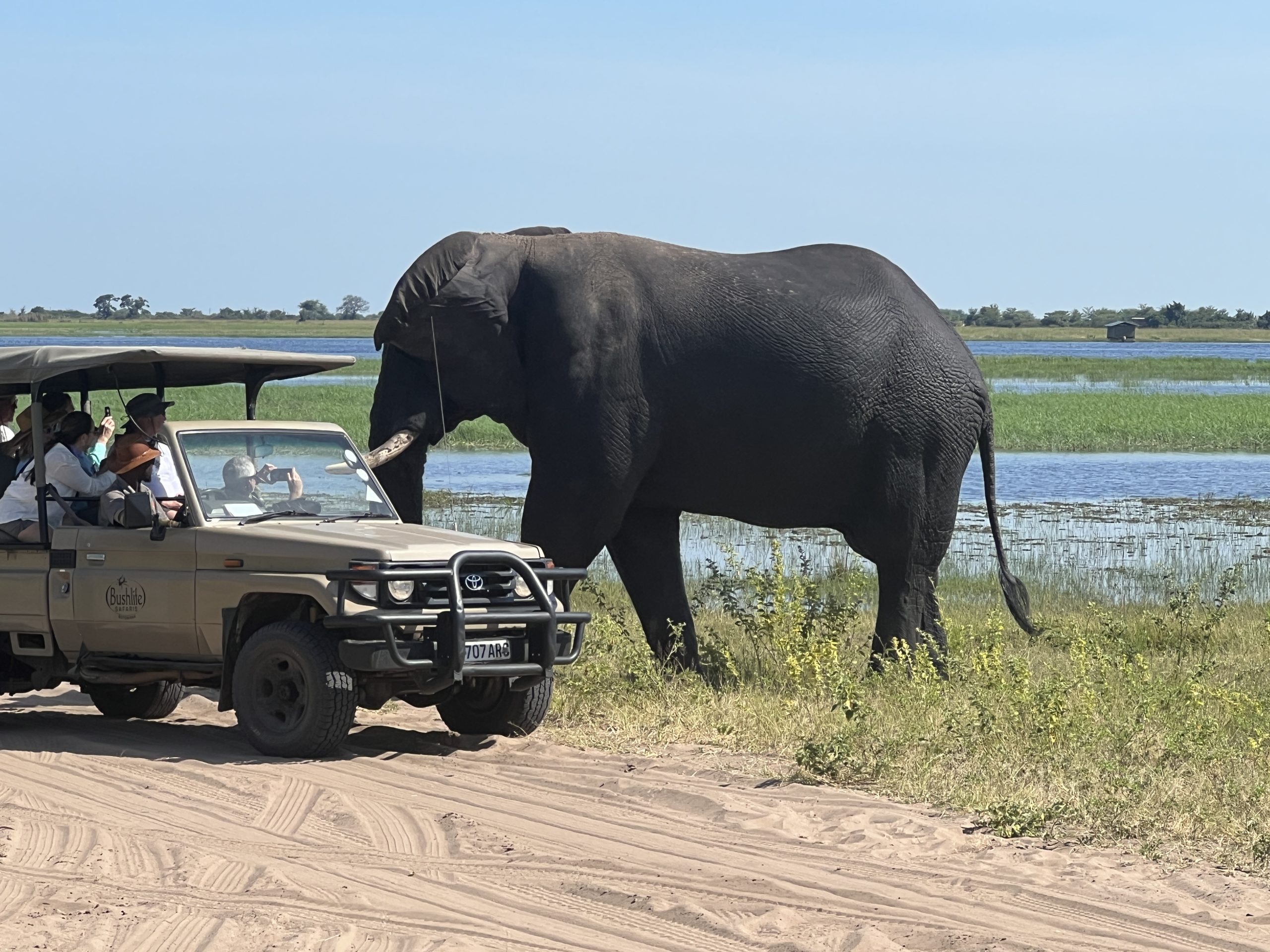 Africa Safari & Lake Kariba Cruise 