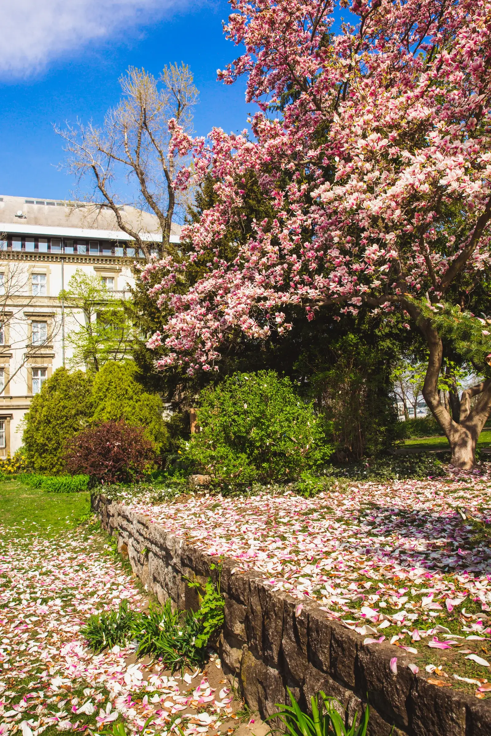 Hidden Gems Most Visitors Miss